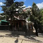 Rosa Timisoara