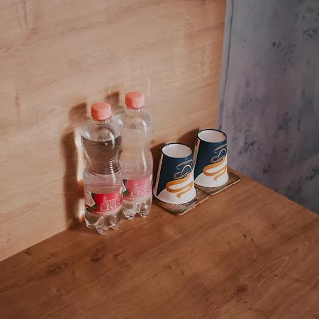 Casa de hóspedes Rosa Timişoara