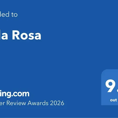 Rosa 蒂米什瓦拉