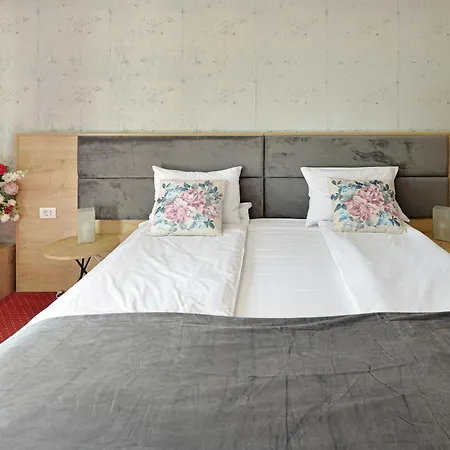 Rosa Penzion Temešvár