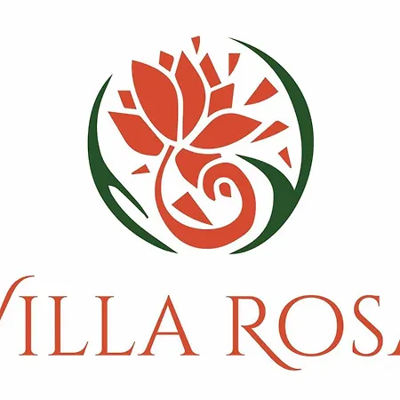 Rosa 蒂米什瓦拉