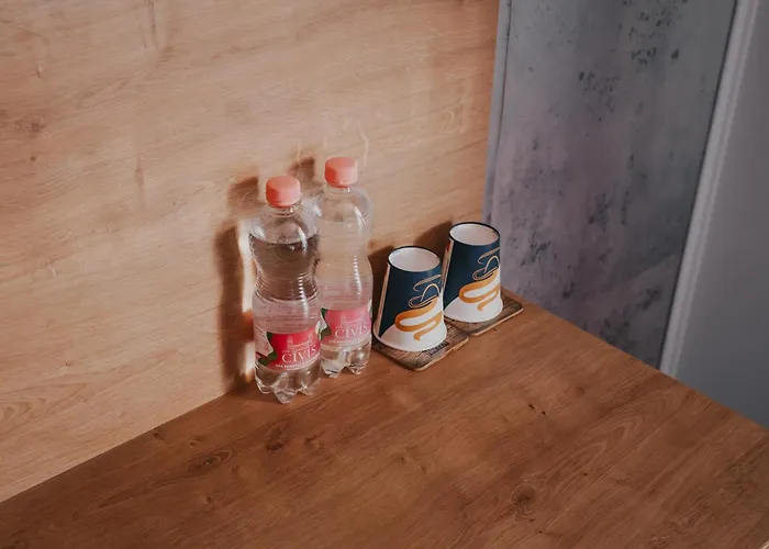 Gasthuis Rosa Timişoara