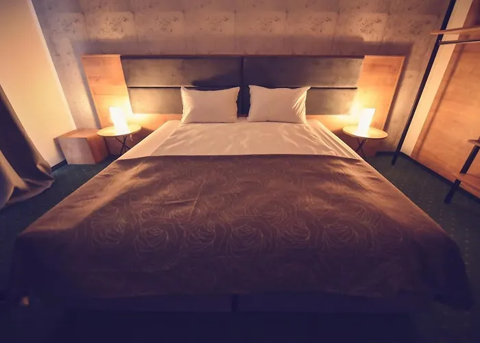 Rosa 招待所 蒂米什瓦拉