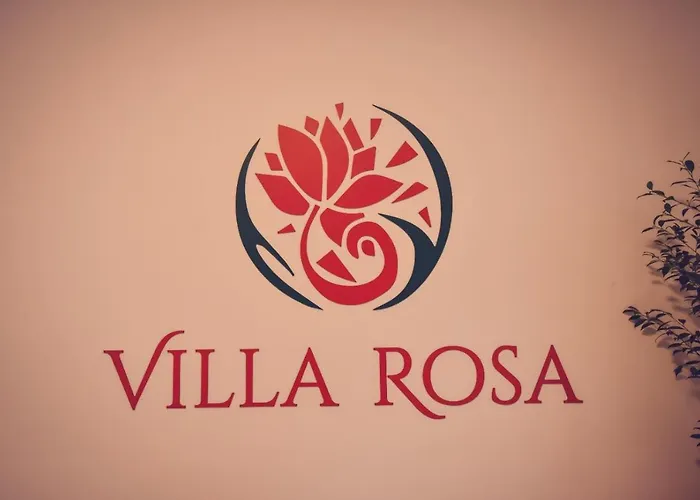 招待所 Rosa 蒂米什瓦拉