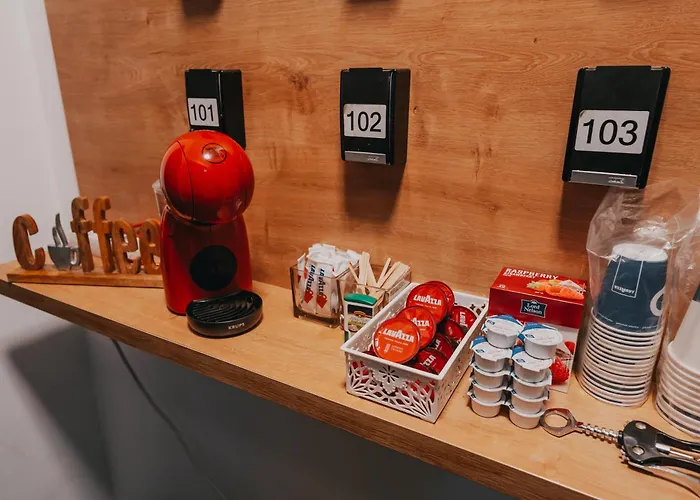 Rosa טימישוארה